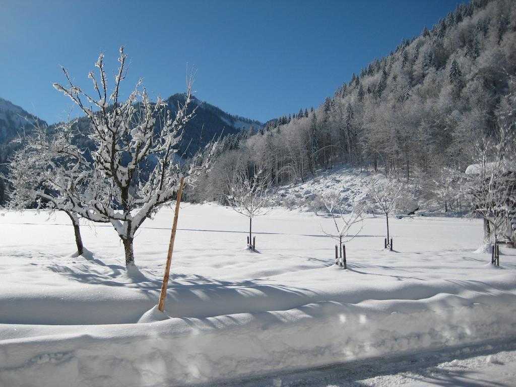 Biobauernhof Hauserbauer Hintersee Luaran gambar