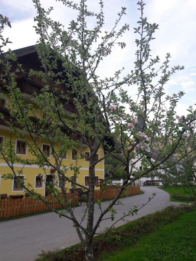 Biobauernhof Hauserbauer Hintersee Luaran gambar