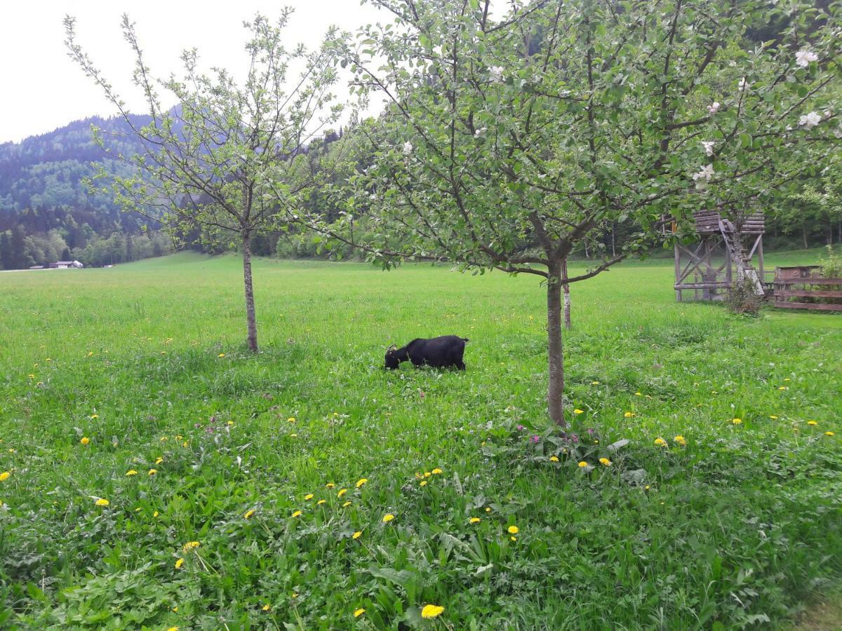 Biobauernhof Hauserbauer Hintersee Luaran gambar