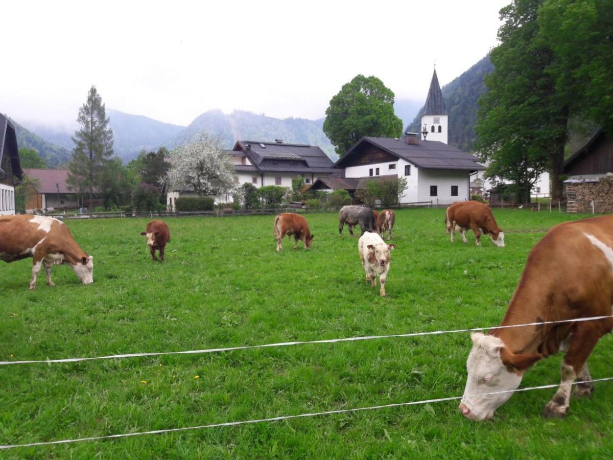 Biobauernhof Hauserbauer Hintersee Luaran gambar