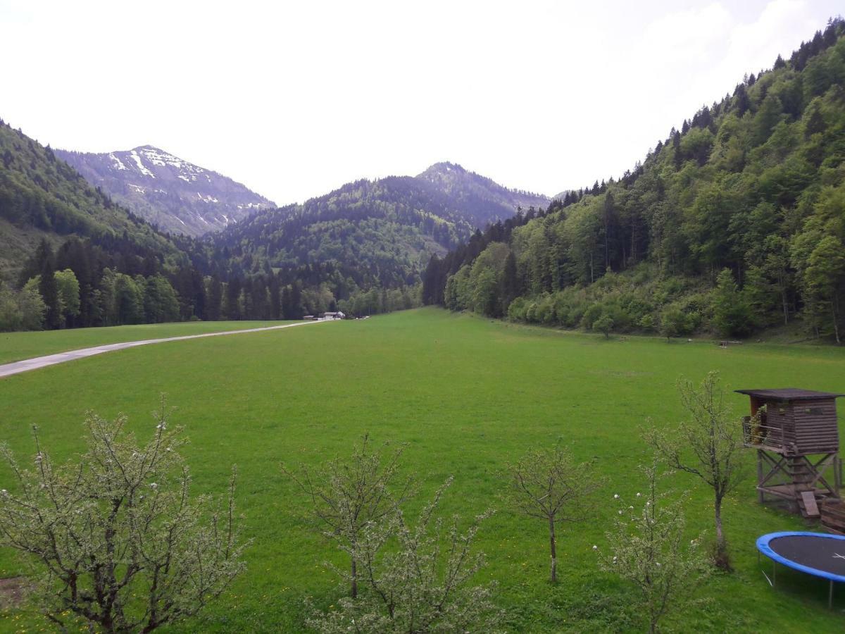 Biobauernhof Hauserbauer Hintersee Luaran gambar