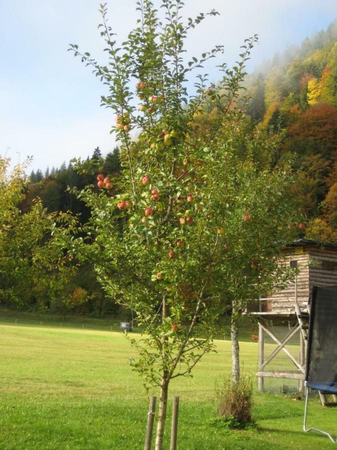 Biobauernhof Hauserbauer Hintersee Luaran gambar