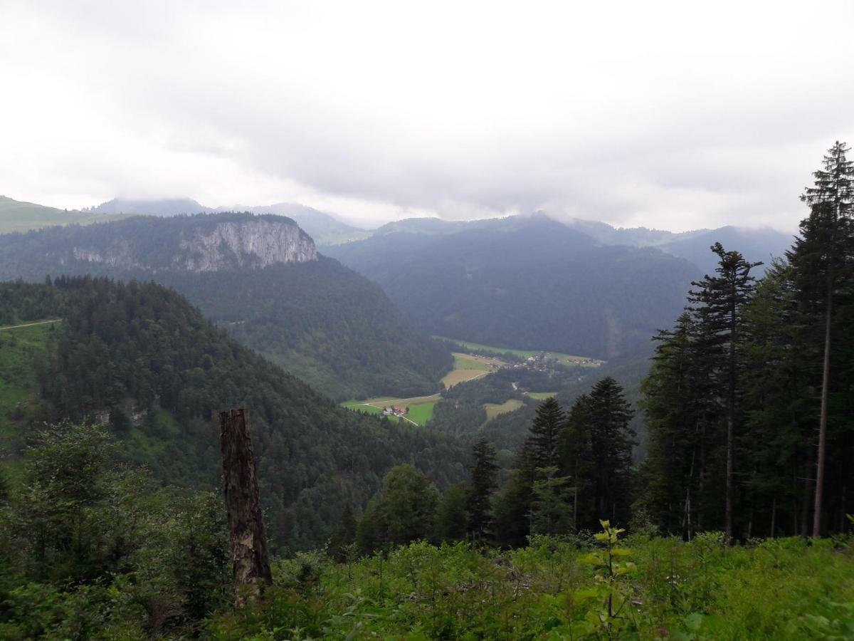 Biobauernhof Hauserbauer Hintersee Luaran gambar